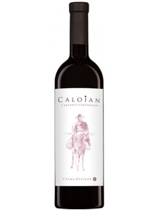 Caloian Cabernet Sauvignon 2019 | Crama Oprisor | Plaiurile Drancei